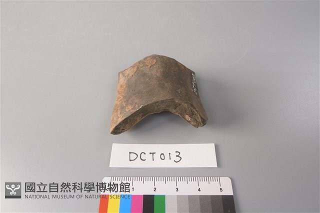 陶片藏品圖，第4張