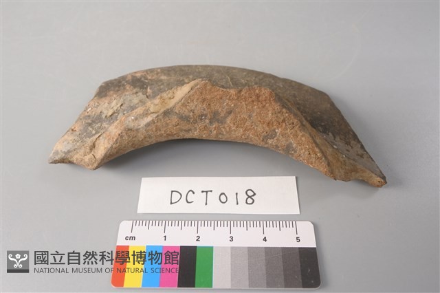 陶片藏品圖，第4張