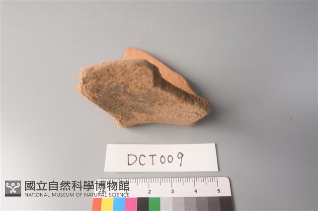 陶片藏品圖，第4張
