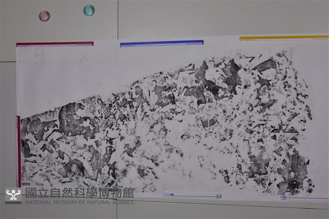 武梁祠畫像石拓片61藏品圖，第4張