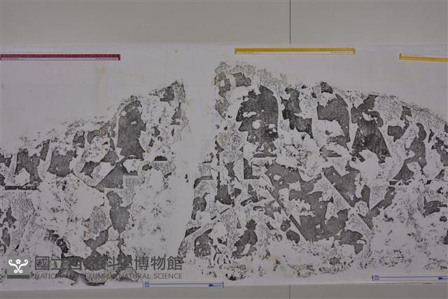 武梁祠畫像石拓片60藏品圖，第4張