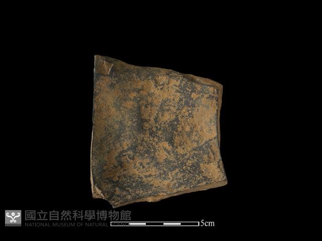 陶片藏品圖，第1張