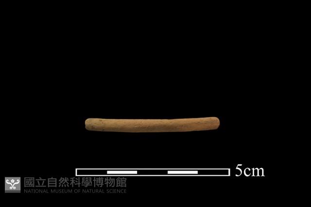 陶環藏品圖，第2張