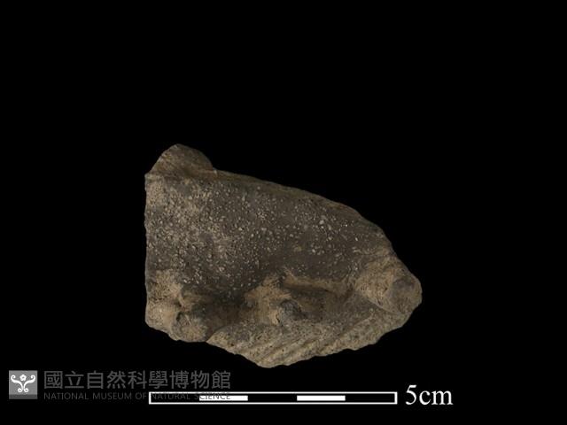 陶罐藏品圖，第2張