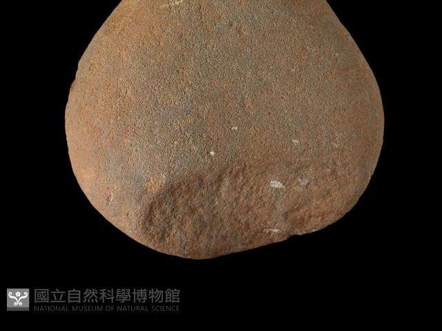 陶片藏品圖，第3張