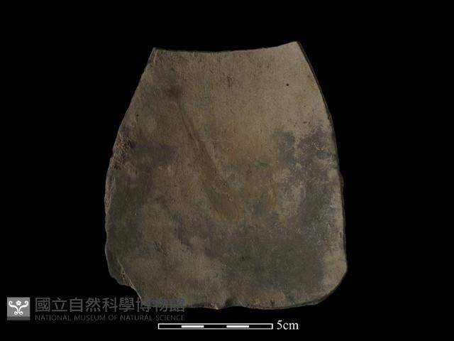 陶片藏品圖，第1張