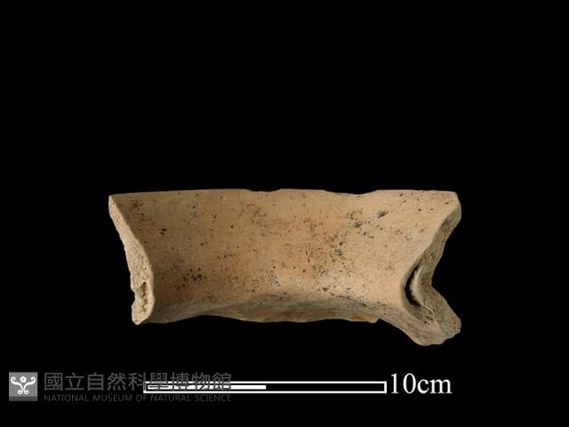 陶罐藏品圖，第2張