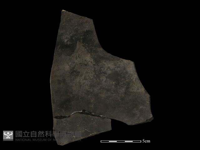 陶片藏品圖，第1張