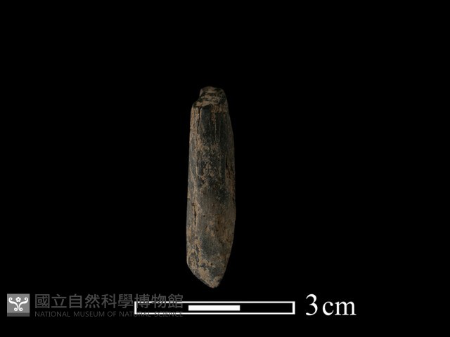 錛鑿形器藏品圖，第3張