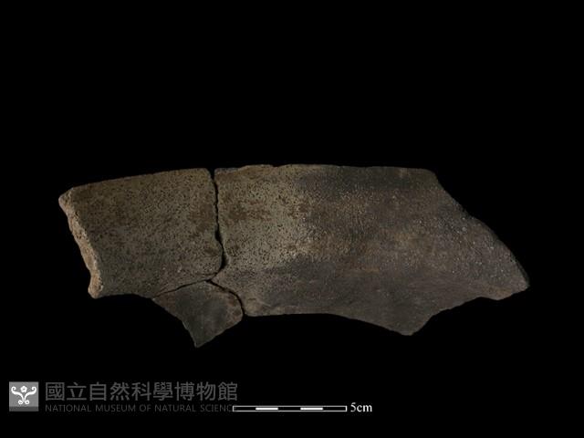 陶罐藏品圖，第1張