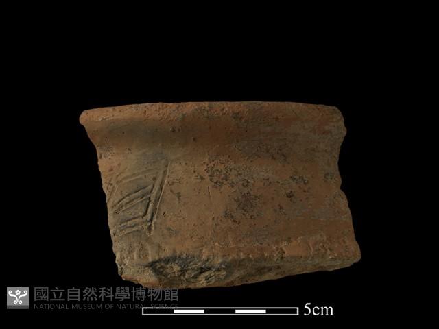 陶罐藏品圖，第1張