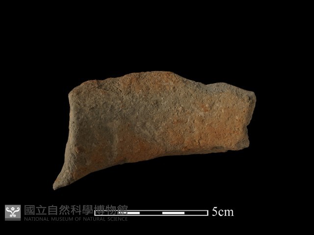 陶罐藏品圖，第3張