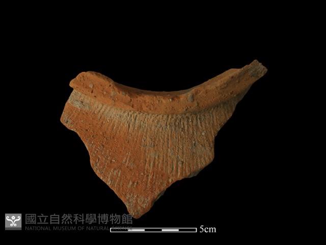 陶罐藏品圖，第1張