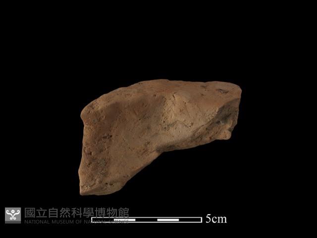 陶罐藏品圖，第2張