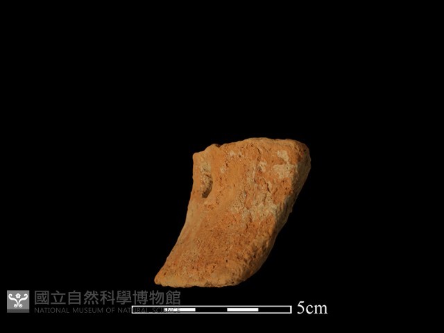 陶片藏品圖，第1張