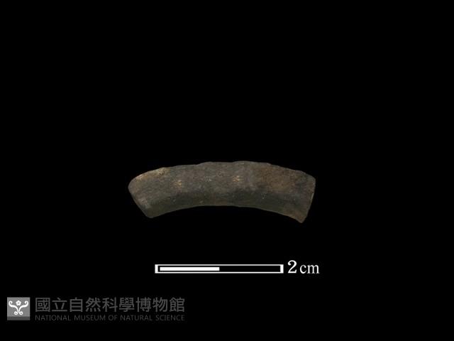 陶環藏品圖，第2張