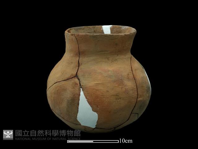 陶罐藏品圖，第3張