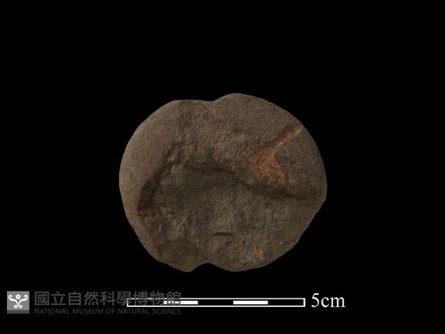 網墜藏品圖，第2張