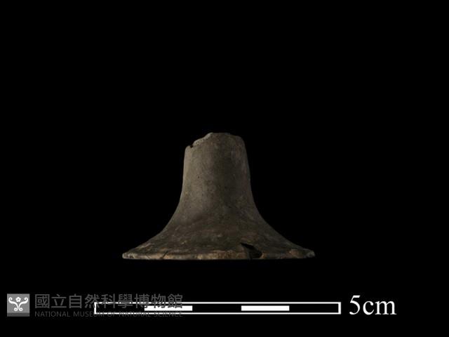 紡輪藏品圖，第2張