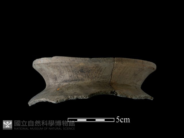 陶罐藏品圖，第2張