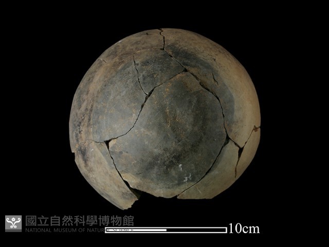 陶罐藏品圖，第2張