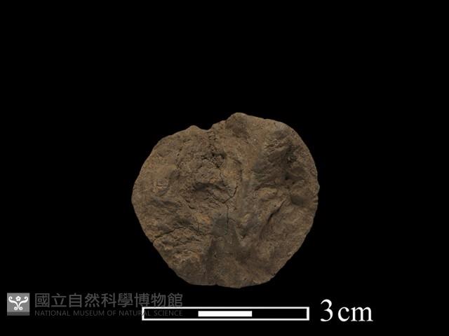 陶紡輪藏品圖，第2張