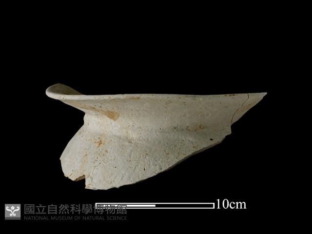 陶罐藏品圖，第2張