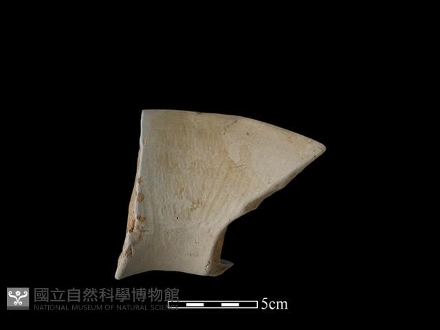 陶罐藏品圖，第2張