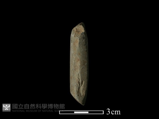 錛鑿形器藏品圖，第2張