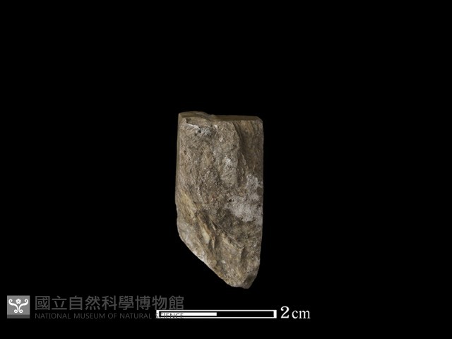 錛鑿形器藏品圖，第2張