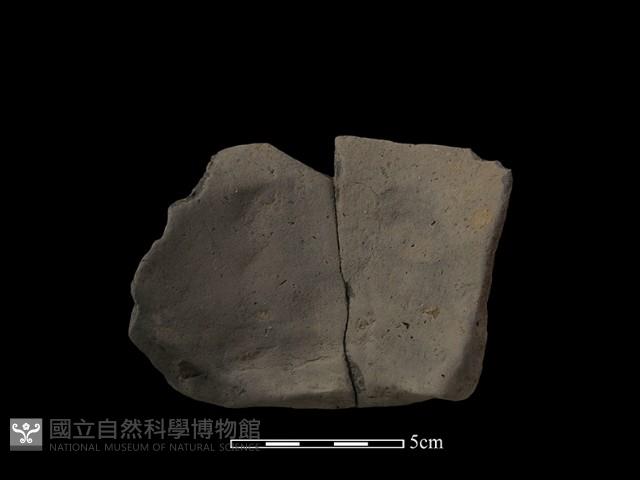 陶片藏品圖，第2張