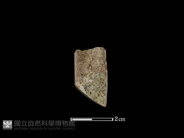 錛鑿形器藏品圖，第1張