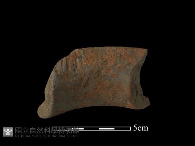 陶罐藏品圖，第1張