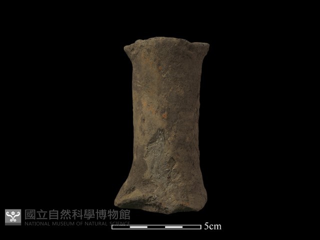 獸足藏品圖，第2張