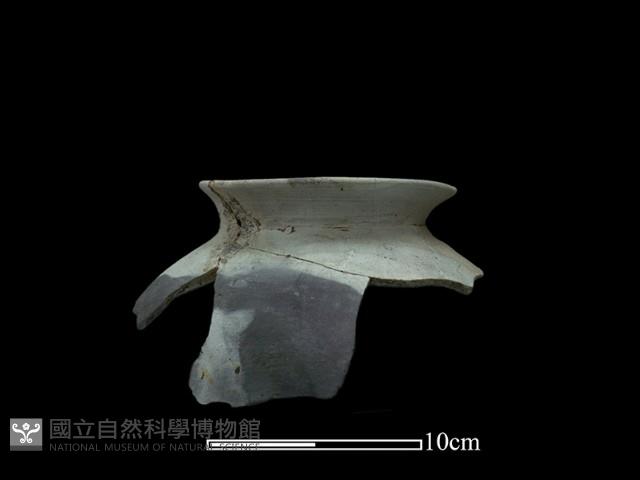 陶罐藏品圖，第3張