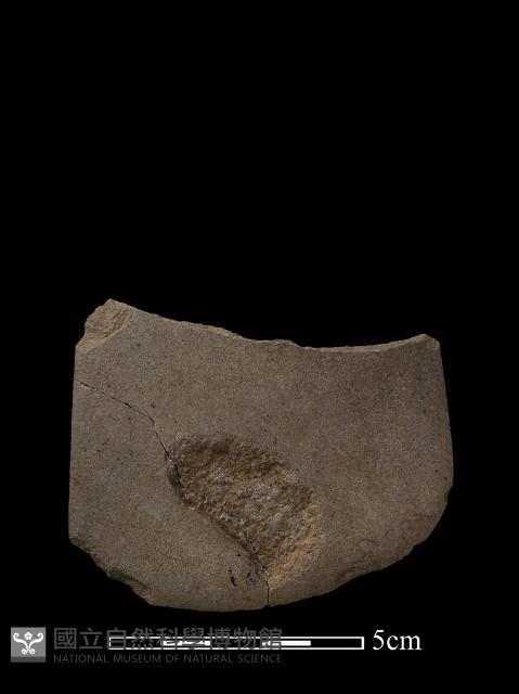 磨製斧鋤形器藏品圖，第2張