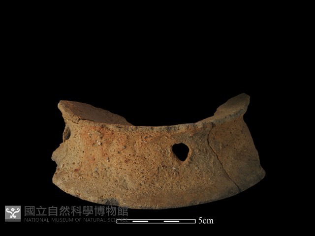 陶片藏品圖，第3張