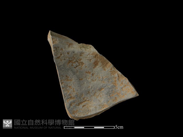 陶片藏品圖，第1張