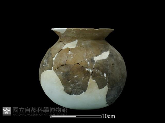 陶罐藏品圖，第1張