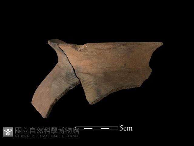 陶罐藏品圖，第1張