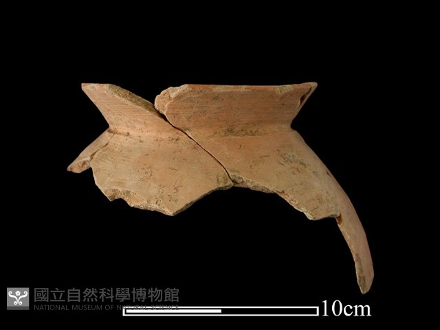 陶罐藏品圖，第1張