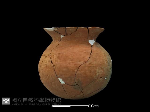 陶罐藏品圖，第3張