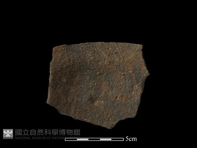 陶罐藏品圖，第1張