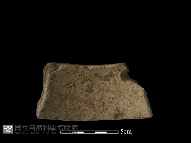 陶罐藏品圖，第1張