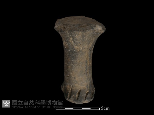 獸足藏品圖，第1張