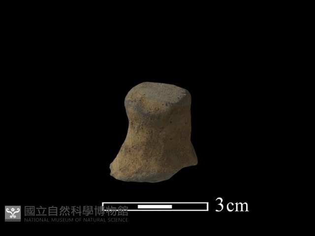 陶蓋鈕藏品圖，第2張