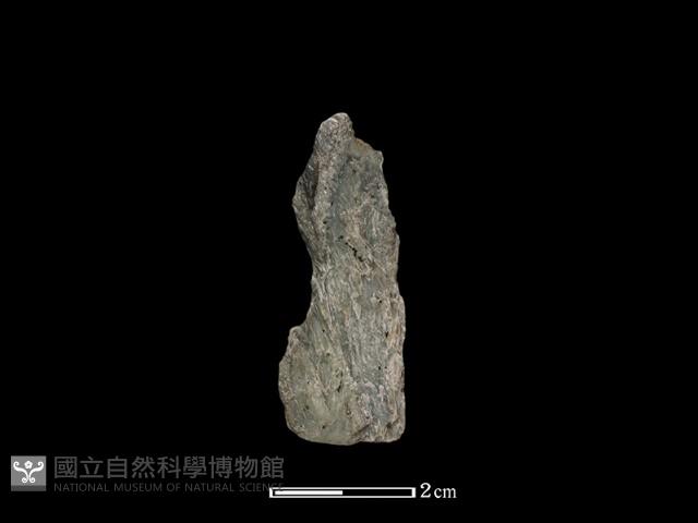 Accession Number:NP-2008-0081 Collection Image, Figure 1, Total 2 Figures