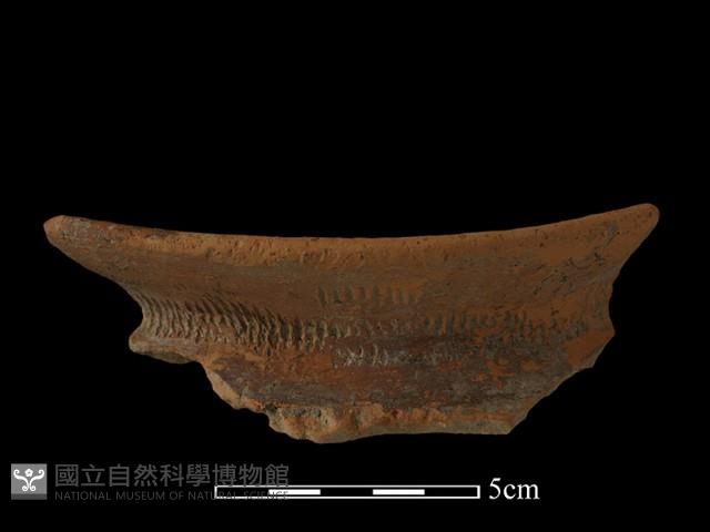 陶罐藏品圖，第3張