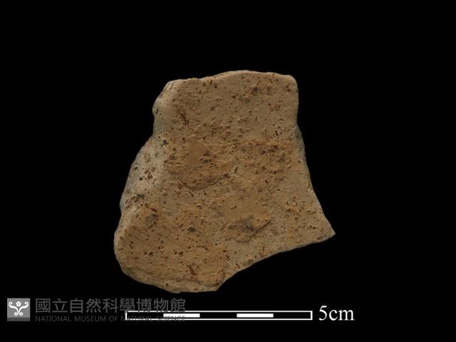 陶片藏品圖，第1張