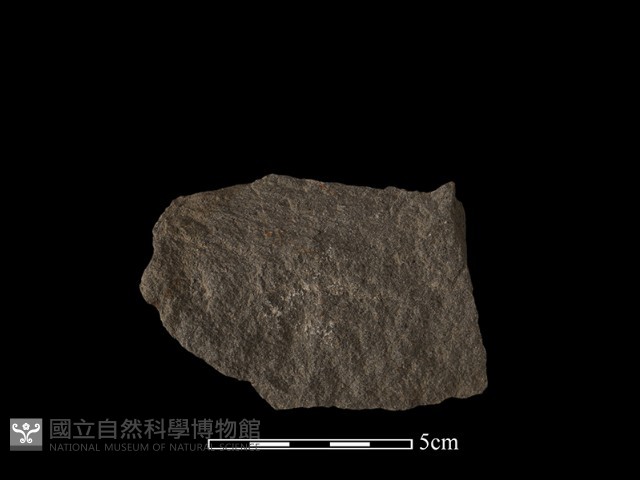 石片器藏品圖，第2張